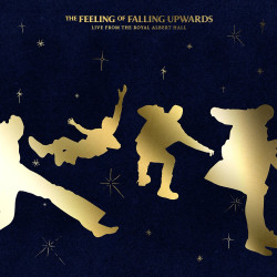 5 Seconds Of Summer • The Feeling Of Falling Upwards (2LP)