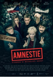 Amnestie (DVD)