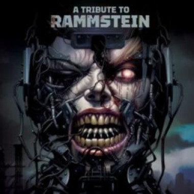 Výber • A Tribute To Rammstein / Limited Edition (LP)