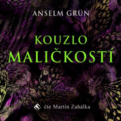 Audiokniha: Anselm Grün • Kouzlo maličkostí (CD-MP3) / Číta Zahálka Martin