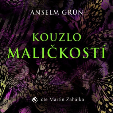 Audiokniha: Anselm Grün • Kouzlo maličkostí (CD-MP3) / Číta Zahálka Martin