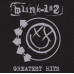 Blink 182 • Greatest Hits (2LP)