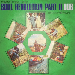 Marley Bob & The Wailers • Soul Revolution Part II Dub / Limited Edition (LP)