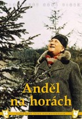 Anděl na horách (DVD)