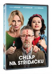 Chlap na střídačku (DVD)