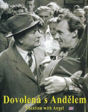 Dovolená s Andělem (DVD)