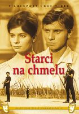 Starci na chmelu (DVD)