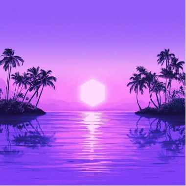 Purple Disco Machine • Paradise (2LP)