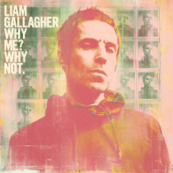 Gallagher Liam • Why Me? Why Not. (LP)