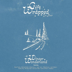 Výber • Gift Wrapped Volume 4: Winter Wonderland / Coloured (LP)