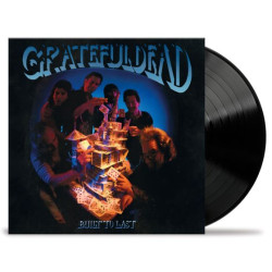 Grateful Dead • Built To Last (LP)