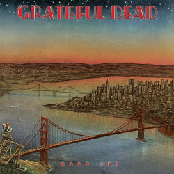 Grateful Dead • Dead Set (2LP)