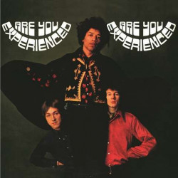 Hendrix Jimi Experience • Are You Experienced (2LP)