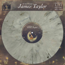 Taylor James • My Old Friend (LP)