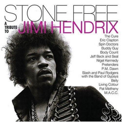 Výber • Stone Free: Jimi Hendrix Tribute / Clear and Black Vinyl (2LP)