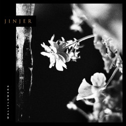 Jinjer • Wallflowers (LP)