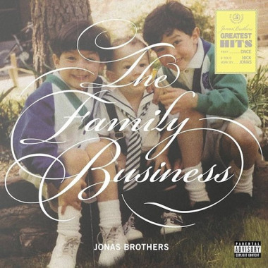 Jonas Brothers • The Family Business (2LP)