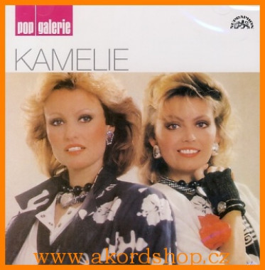 Kamelie • Pop Galerie