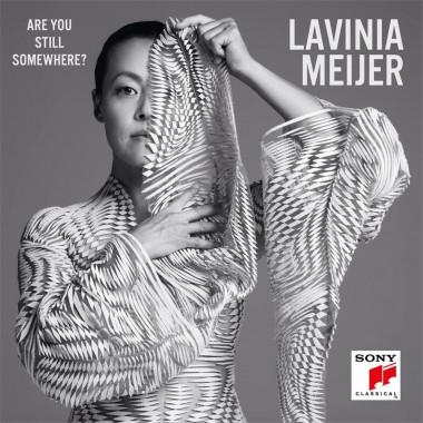 Meijer Lavinia • Are You Still Somewhere?