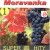 Moravanka • Super Hity 1