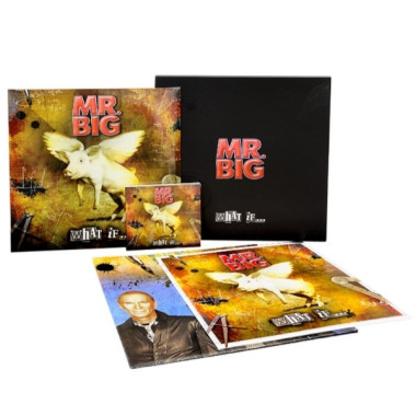 Mr.Big • What If ... (CD+LP+DVD)