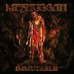 Meshuggah • Immutable (2LP)