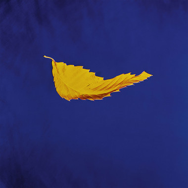 New Order • True Faith (LP)