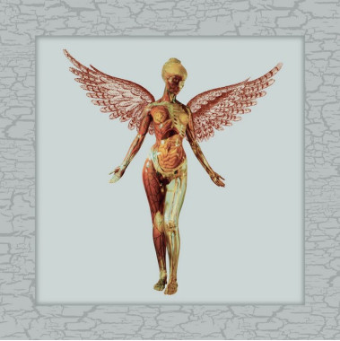 Nirvana • In Utero / 30th Anniversary / Deluxe Box Set (5CD)