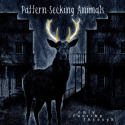 Pattern-Seeking Animals • Only Passing Through /HQ (2LP+CD)