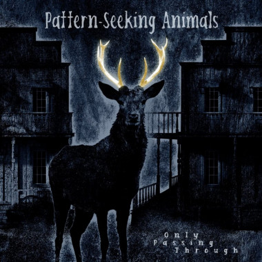 Pattern-Seeking Animals • Only Passing Through / Limited Edition 