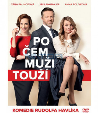 Po čem muži touží (DVD)