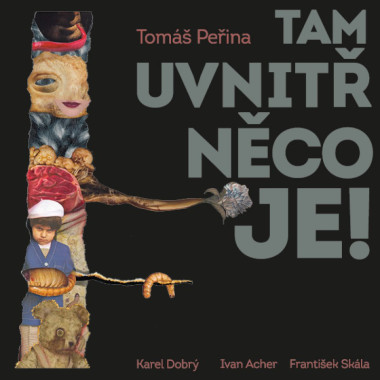 Audiokniha: Peřina Tomáš • Tam uvnitř něco je / Čte Karel Dobrý (LP)