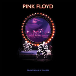 Pink Floyd • Delicate Sound Of Thunder (3LP)