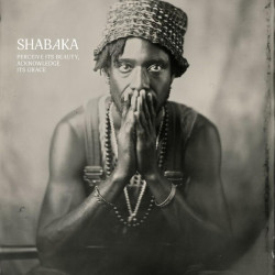 Shabaka • Perceive Its Beauty, Acknowled Its Grace (LP)