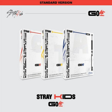 Stray Kids • Go Live 