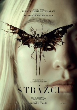 Strážci (DVD)