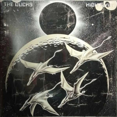 The Ducks • High Flyin