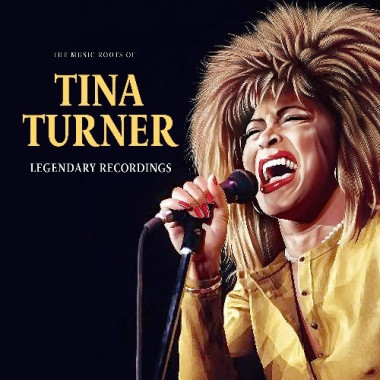 Turner Tina • The Music Roots Of (LP)