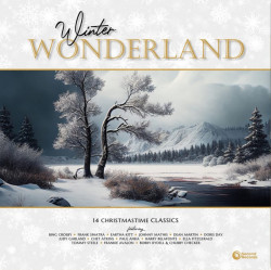 Výber • Winter Wonderland (LP)