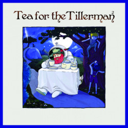 Yusuf / Cat Stevens • Tea For The Tillerman 2 (LP)