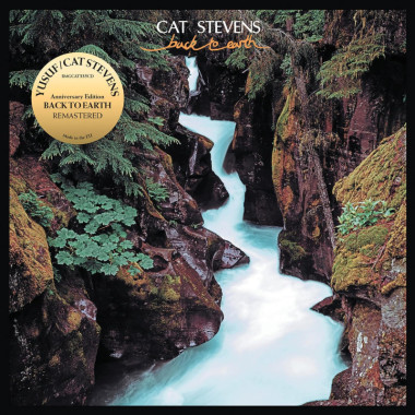 Yusuf / Cat Stevens • Back To Earth (LP)