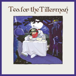 Yusuf / Cat Stevens • Tea For The Tillerman 2