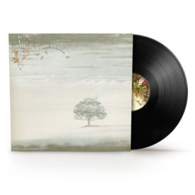 Genesis • Wind & Wuthering (LP)