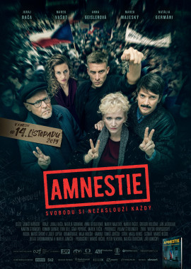 Amnestie (DVD)