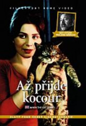  Až přijde kocour + Šest otázek pro Jana Wericha (DVD)