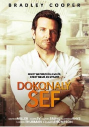 Dokonalý šéf (DVD)