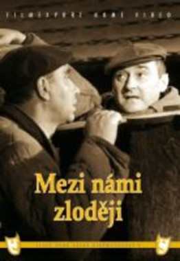  Mezi námi zloději (DVD)