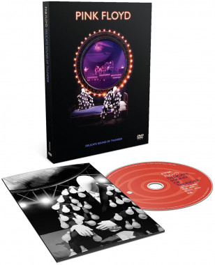 Pink Floyd • Delicate Sound Of Thunder (DVD)