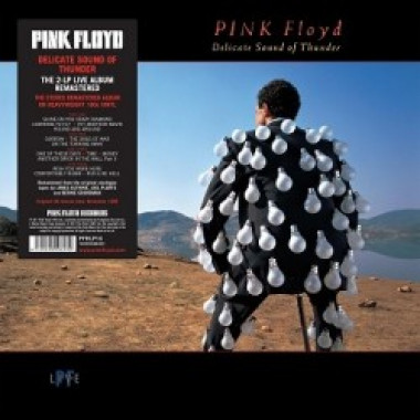 Pink Floyd • Delicate Sound Of Thunder (2LP)