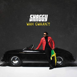 Shaggy • Wah Gwaan? (2LP)